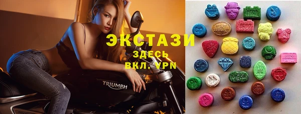 ECSTASY Белокуриха