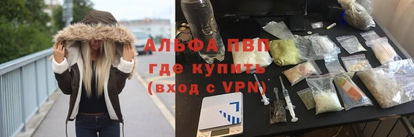 ECSTASY Белокуриха