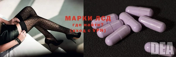 ECSTASY Белокуриха