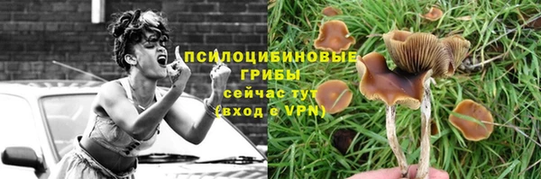ECSTASY Белокуриха