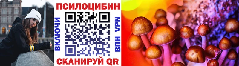 Псилоцибиновые грибы Psilocybine cubensis  Павловск 